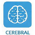 i-cereb