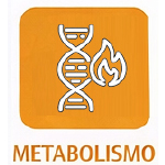 i-metabo